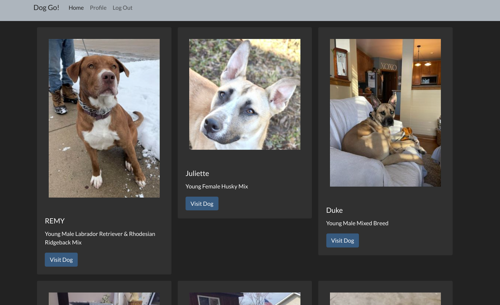 Dog Go Web Application